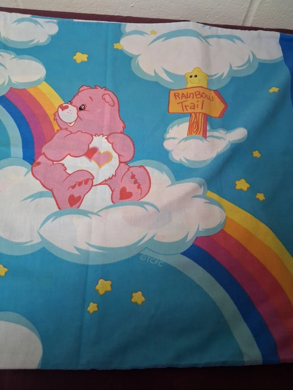 Care Bears And Rainbows Standard Size Pillowcase.